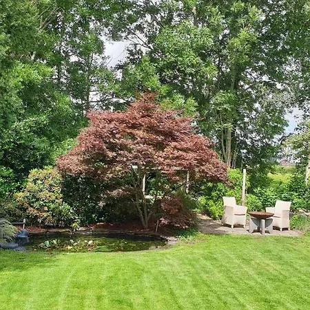 Tatil Evi House 21 Relax Ir Sauna