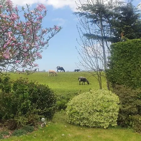 House 21 Relax Ir Sauna