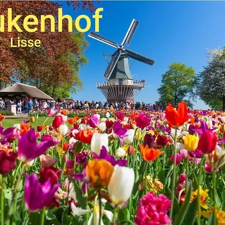 Дом отдыха House 21 Relax Ir Sauna *