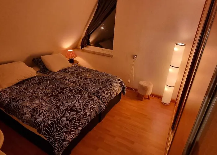 House 21 Relax Ir Sauna