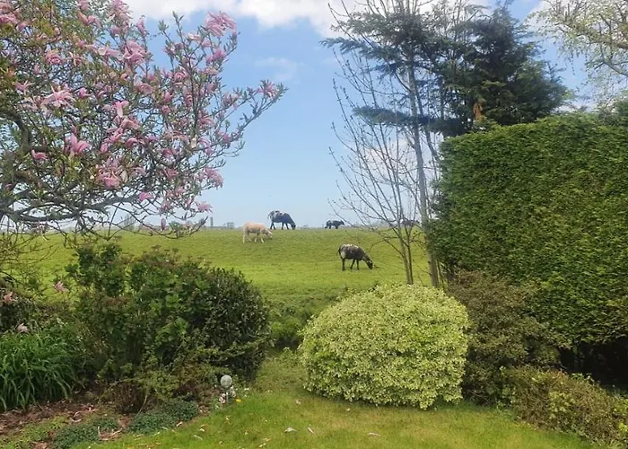 House 21 Relax Ir Sauna