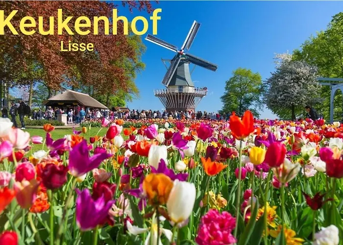 Σπίτι διακοπών House 21 Relax Ir Sauna *